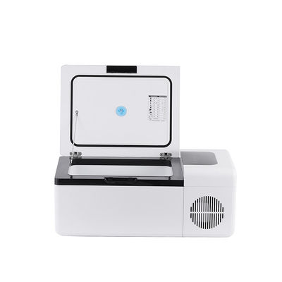 Portable Custom Color 15L Campers Kühlschrank Halten Sie Ihr Essen überall frisch und kalt